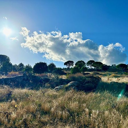 Casa Rural, “El Andador” El Hoyo de Pinares Екстер'єр фото
