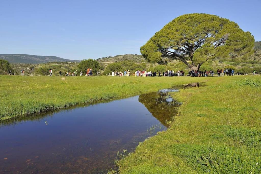 Casa Rural, “El Andador” El Hoyo de Pinares Екстер'єр фото